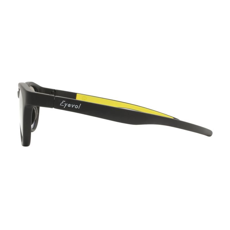 Eyevol アイヴォル LEIFER Ⅱ XLのサングラス 通販ならGLASH BEAM