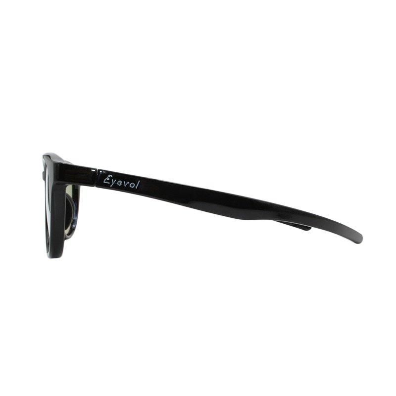 Eyevol アイヴォル SCHILLER のサングラス 通販ならGLASH BEAM
