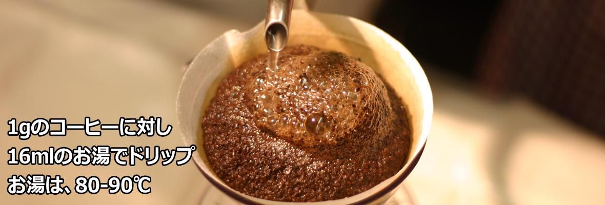 焙煎工房 豆太 オンラインショップ 焙煎工房 豆太 オンラインショップ