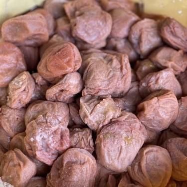 業務用 しらぼしつぶれうめぼし 10kg 業務用梅干し つぶれうめ 業務用 しらぼしつぶれうめぼし 10kg 業務用梅干し つぶれうめ