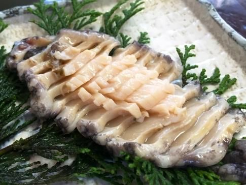 養殖アワビ最大サイズで稀少】 やわあまアワビ(120グラム 養殖アワビ最大サイズで稀少】 やわあまアワビ(120グラム