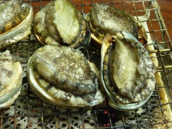 佐渡産新鮮アワビとサザエセット 5キロ 新潟直送計画】佐渡産 活サザエ・活アワビの詰め合わせ – 有限