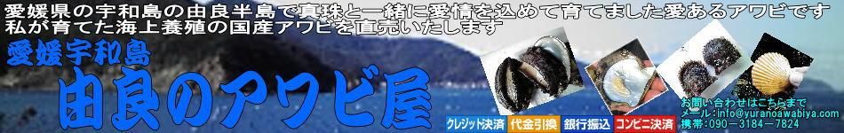 ʤӡˤŹ/ľɲͳɤΥӲۡ