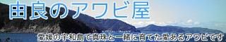 活鮑（あわび）の通販販売店/産地直送～愛媛宇和島【由良のアワビ屋】～