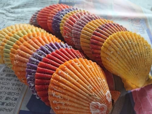ヒオウギ貝の貝殻大(10枚)】サイズ指定可能 愛媛宇和島産!私が ヒオウギ貝の貝殻大(10枚)】サイズ指定可能 愛媛宇和島産!私が