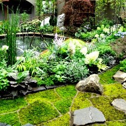 苔マットを用いた庭園