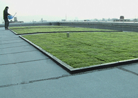 屋上緑化施工例