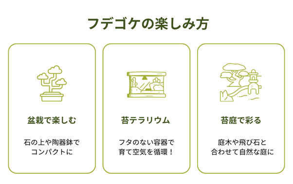 フデゴケの楽しみ方