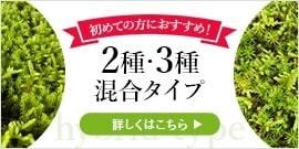 苔（コケ）お役立ちショップ「花育通販」緑化用苔2種混合