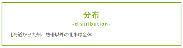 分布