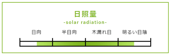 分布