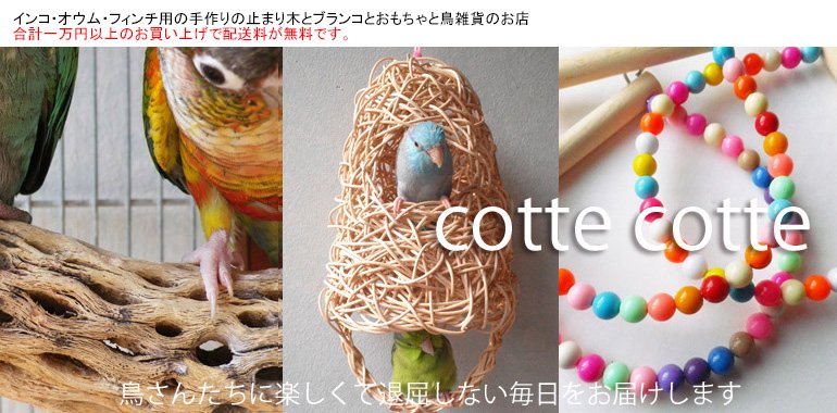 小鳥が食べられる野菜と果物一覧表 - cotte cotte