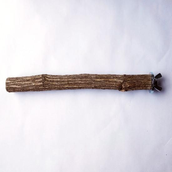 南天の止まり木ー鳥の止まり木とおもちゃのお店cotte cotte