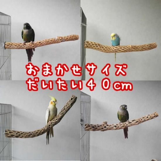 サボテンの止まり木 - 鳥のおもちゃ屋さんコッテコッテ