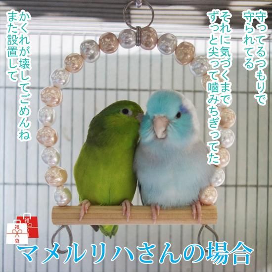 福袋 マメルリハさんの場合21 1月から2月のお届け予定です Cotte Cotte