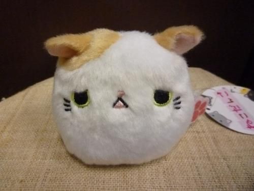 ぶちゃかわ ねこだんご テディベア専門店 ペンブローク ぶちゃかわ ねこだんご テディベア専門店 ペンブローク