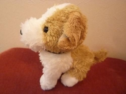 ジャックラッセルテリア テディベア ぬいぐるみ ペットロス 稲川祐也 / YUYA INAGAWA】JACK RUSSEL TERRIER ジャック