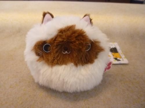 お腹ぽっこり♡ヒマラヤンベビー♡子猫♡アートドール♡ぬいぐるみ♡ お腹ぽっこり♡ヒマラヤンベビー♡子猫♡アートドール♡ぬいぐるみ♡