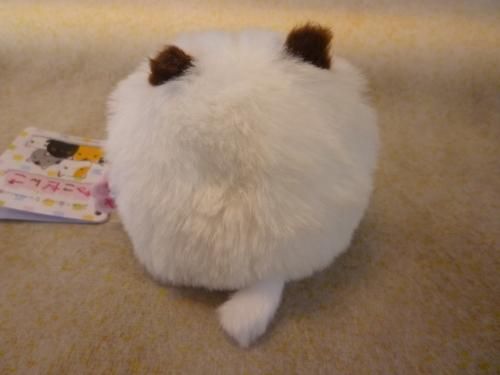 ねこだんご ヒマラヤン - テディベア専門店 ペンブローク