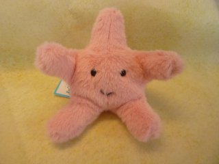 Fluffy Starfish