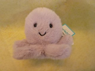 Fluffy Octopus