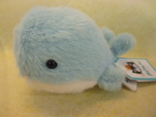 <img class='new_mark_img1' src='https://img.shop-pro.jp/img/new/icons5.gif' style='border:none;display:inline;margin:0px;padding:0px;width:auto;' />Fluffy Whale