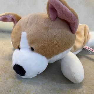 <img class='new_mark_img1' src='https://img.shop-pro.jp/img/new/icons5.gif' style='border:none;display:inline;margin:0px;padding:0px;width:auto;' />ե奢ݡ