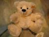 Classic Teddy bear Mohair EAN028779