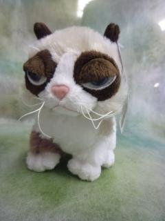 Grumpy Cat オスワリ　S
