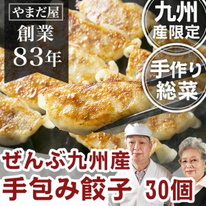 九州産野菜と九州産肉で作った無添加手づくり惣菜 餃子ぎょうざの通販お取り寄せ