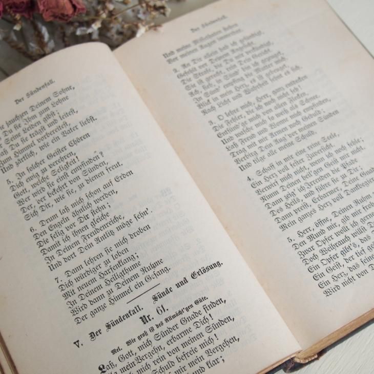ロシア語洋書】 インド・ヨーロッパ語族の人称標識の起源：歴史