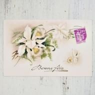 ƥݥȥɡȥ쥢Bonne Fete