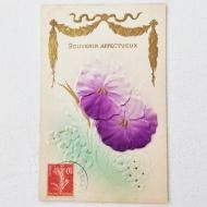 ƥݥȥɡե󥹡ѡץѥ󥸡