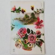 ƥݥȥɡե󥹡եܥ