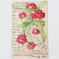 ƥݥȥɡɥġåɥեܥ