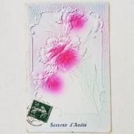 ƥݥȥɡե󥹡ԥ󥯥͡