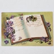 ƥݥȥɡե󥹡ߥ졡ͤդΥС