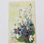 ƥݥȥɡե󥹡ߥ졡Ρɥå