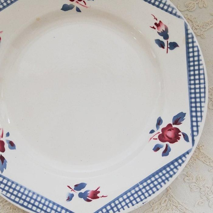 ディゴワンサルグミンヌ　ブルーローズ　ディナープレート　23cm 2枚組 ディゴワンサルグミンヌ ブルーローズ ディナープレート 2枚セット