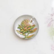 ơɥġ꡼ԥ󥯡٥꡼󥿥ꥪ饹ܥ󡡥饦ɡ181ġ