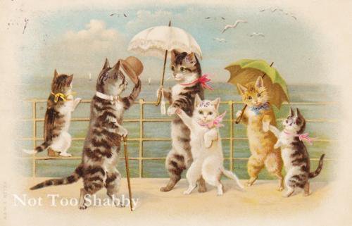 アンティーク ポストカード 日傘をさして海辺を散歩絵する猫たち