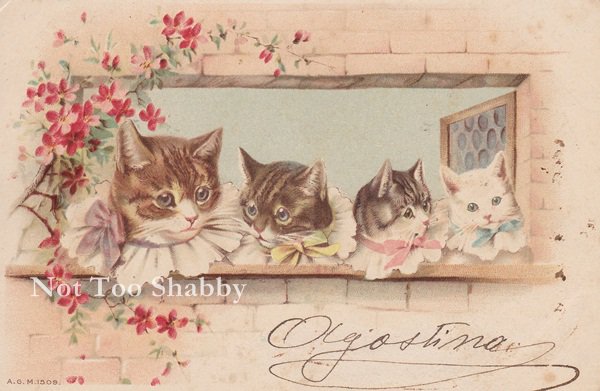 アンティーク ポストカード 窓からのぞく４匹の猫たち - ヴィンテージ