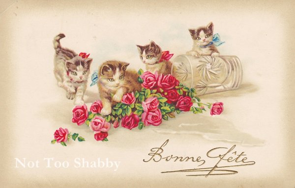 アンティーク ポストカード 猫たちと赤い薔薇 ガラスの花瓶