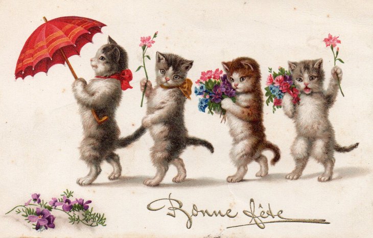 アンティーク ポストカード 4匹の猫たち Bonne Fete - ヴィンテージ