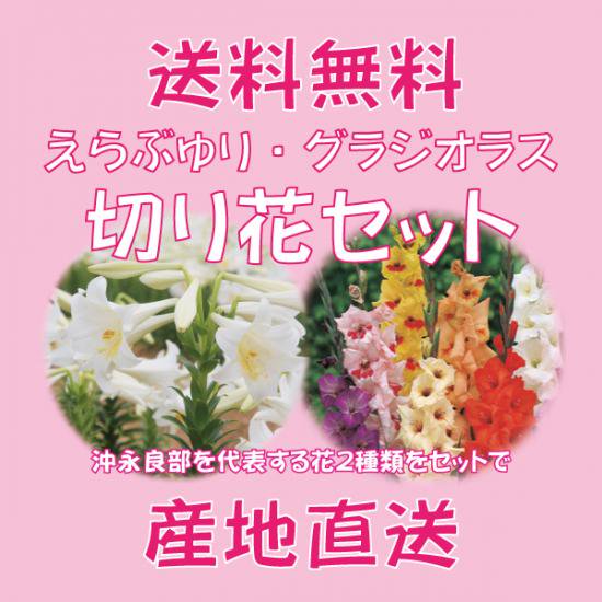 送料込 えらぶ百合 10本 グラジオラス 5本 沖永良部から島のお花をお届けします 福山花店