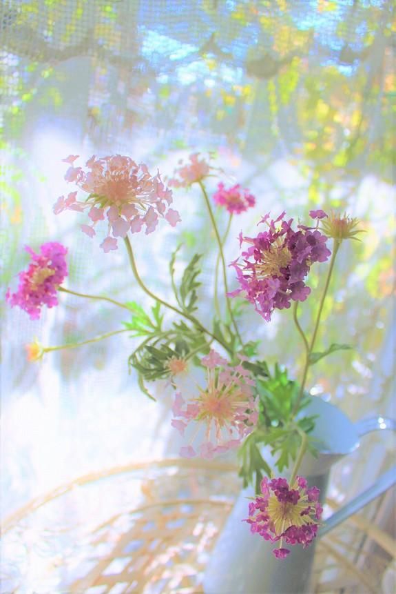 ブルーレース（ソフトピンク＆モーブピンク）のナチュラルな花あしらい