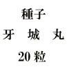 ҡݡ20γ<img class='new_mark_img2' src='https://img.shop-pro.jp/img/new/icons48.gif' style='border:none;display:inline;margin:0px;padding:0px;width:auto;' />