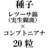 ҡġӡʼáˡߥץȥ˥ʡ20γ<img class='new_mark_img2' src='https://img.shop-pro.jp/img/new/icons48.gif' style='border:none;display:inline;margin:0px;padding:0px;width:auto;' />