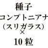 ҡץȥ˥ʡʥꥬ饹ˡߡ10γ<img class='new_mark_img2' src='https://img.shop-pro.jp/img/new/icons48.gif' style='border:none;display:inline;margin:0px;padding:0px;width:auto;' />