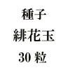 ҡֶ̡30γ<img class='new_mark_img2' src='https://img.shop-pro.jp/img/new/icons58.gif' style='border:none;display:inline;margin:0px;padding:0px;width:auto;' />